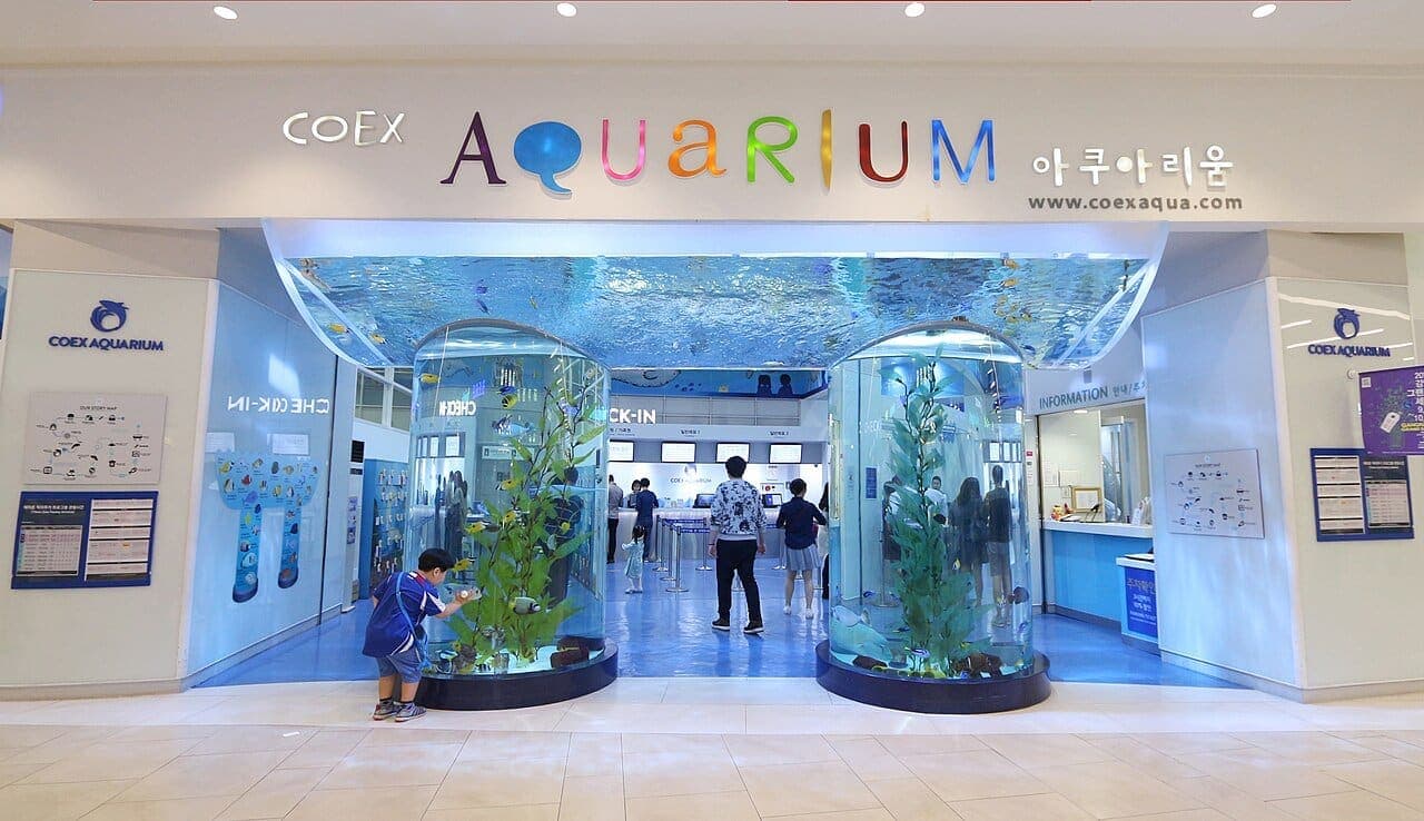 COEX 水族馆