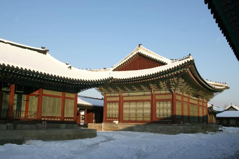 겨울 눈꽃
