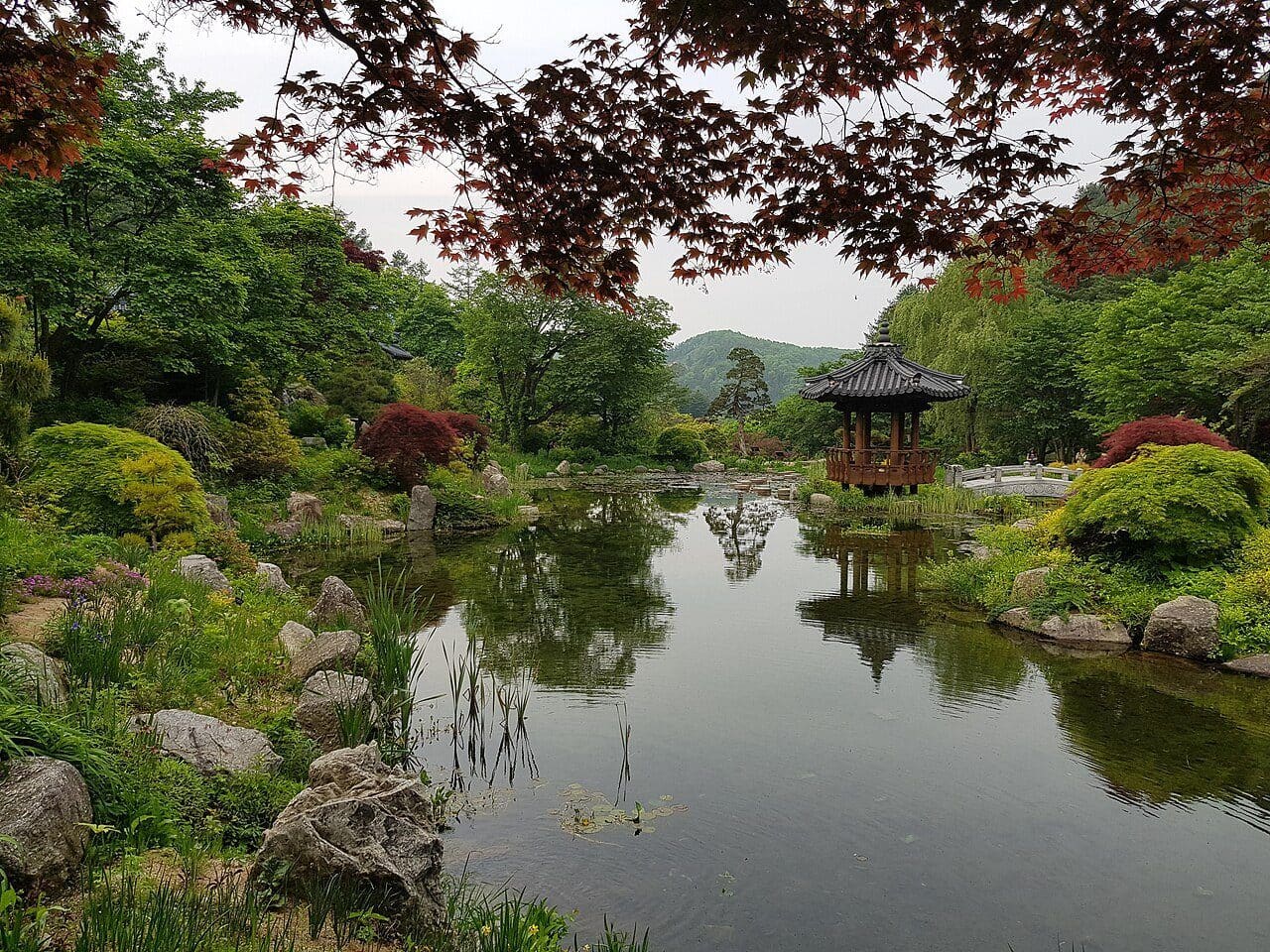 The Garden of Morning Calm